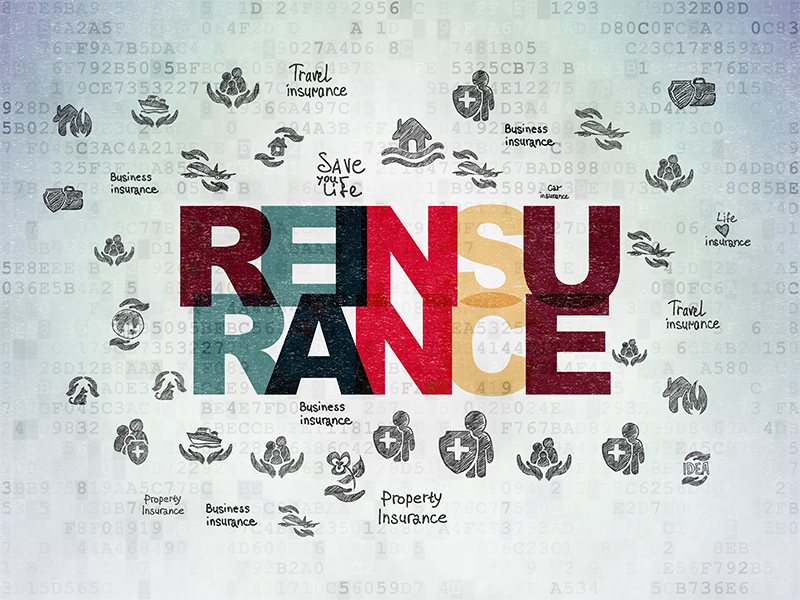 Reinsurance Scope