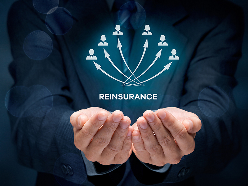 Our Reinsurance Services