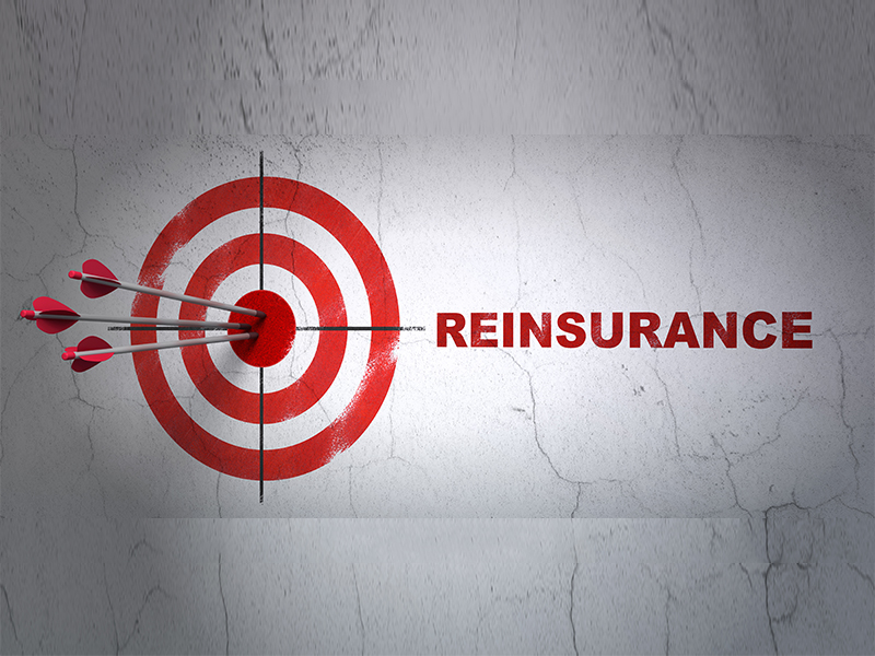 Types of Reinsurance